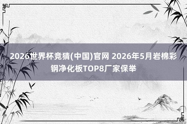2026世界杯竞猜(中国)官网 2026年5月岩棉彩钢净化板TOP8厂家保举