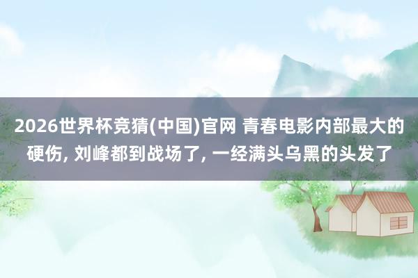 2026世界杯竞猜(中国)官网 青春电影内部最大的硬伤, 刘峰都到战场了, 一经满头乌黑的头发了