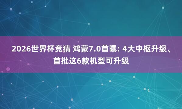 2026世界杯竞猜 鸿蒙7.0首曝: 4大中枢升级、首批这6款机型可升级
