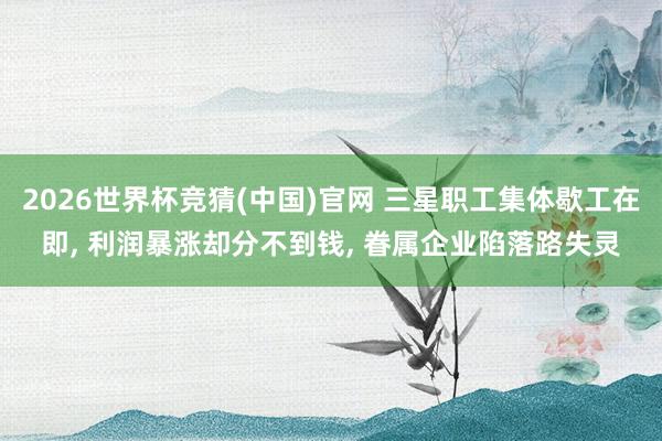 2026世界杯竞猜(中国)官网 三星职工集体歇工在即, 利润暴涨却分不到钱, 眷属企业陷落路失灵