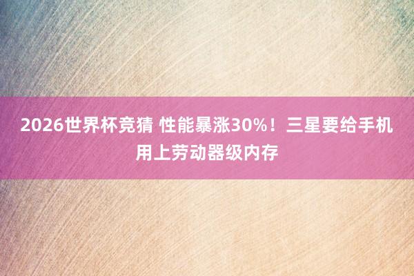 2026世界杯竞猜 性能暴涨30%！三星要给手机用上劳动器级内存