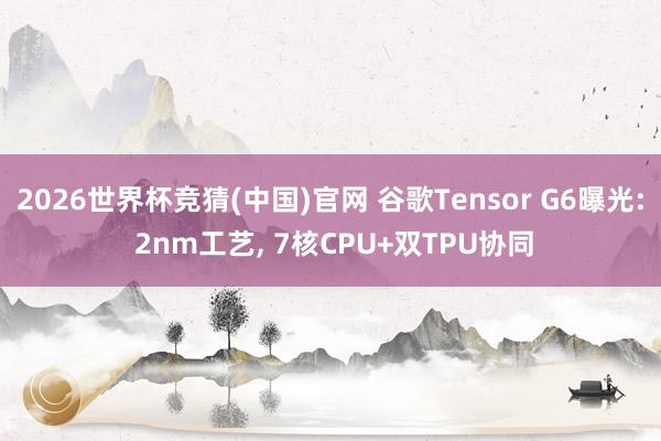 2026世界杯竞猜(中国)官网 谷歌Tensor G6曝光: 2nm工艺, 7核CPU+双TPU协同