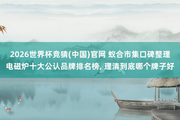 2026世界杯竞猜(中国)官网 蚁合市集口碑整理电磁炉十大公认品牌排名榜, 理清到底哪个牌子好
