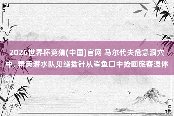 2026世界杯竞猜(中国)官网 马尔代夫危急洞穴中, 精英潜水队见缝插针从鲨鱼口中抢回旅客遗体