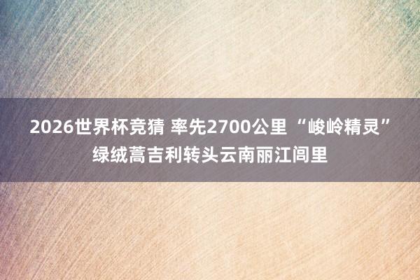 2026世界杯竞猜 率先2700公里 “峻岭精灵”绿绒蒿吉利转头云南丽江闾里