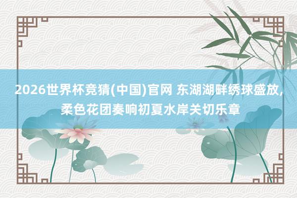 2026世界杯竞猜(中国)官网 东湖湖畔绣球盛放, 柔色花团奏响初夏水岸关切乐章