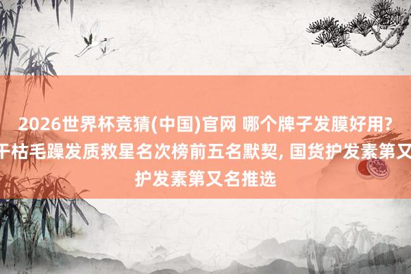 2026世界杯竞猜(中国)官网 哪个牌子发膜好用? 2026干枯毛躁发质救星名次榜前五名默契, 国货护发素第又名推选