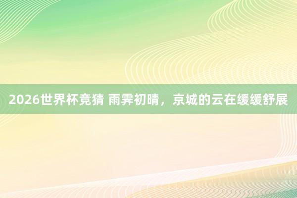 2026世界杯竞猜 雨霁初晴，<a href=