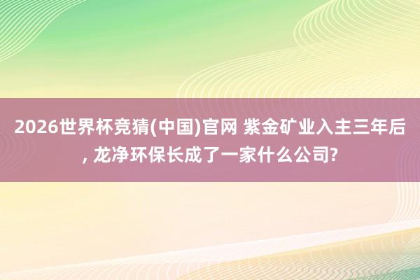 2026世界杯竞猜(中国)官网 紫金矿业入主三年后, 龙净环保长成了一家什么公司?