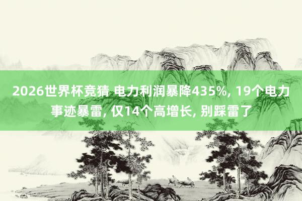 2026世界杯竞猜 电力利润暴降435%, 19个电力事迹暴雷, 仅14个高增长, 别踩雷了