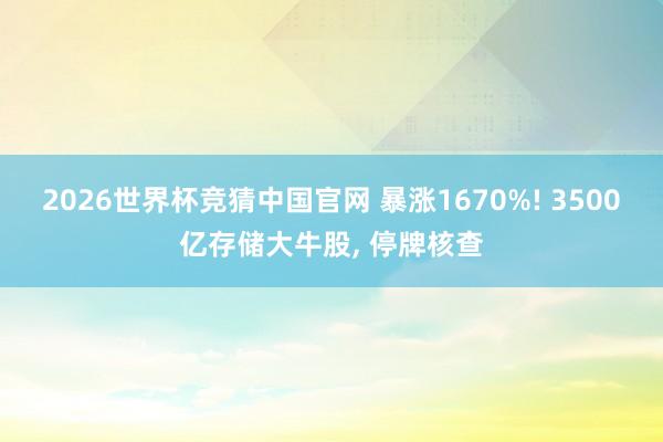 2026世界杯竞猜中国官网 暴涨1670%! 3500亿存储大牛股, 停牌核查