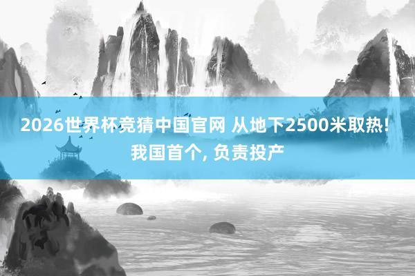 2026世界杯竞猜中国官网 从地下2500米取热! 我国首个, 负责投产