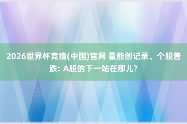 2026世界杯竞猜(中国)官网 量能创记录、个股普跌: A股的下一站在那儿?