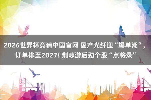 2026世界杯竞猜中国官网 国产光纤迎“爆单潮”, 订单排至2027! 荆棘游后劲个股“点将录”