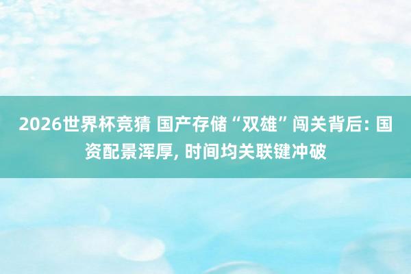 2026世界杯竞猜 国产存储“双雄”闯关背后: 国资配景浑厚, 时间均关联键冲破