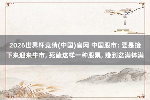 2026世界杯竞猜(中国)官网 中国股市: 要是接下来迎来牛市, 死磕这样一种股票, 赚到盆满钵满