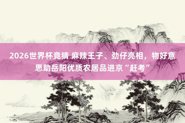 2026世界杯竞猜 麻辣王子、劲仔亮相，物好意思助岳阳优质农居品进京“赶考”