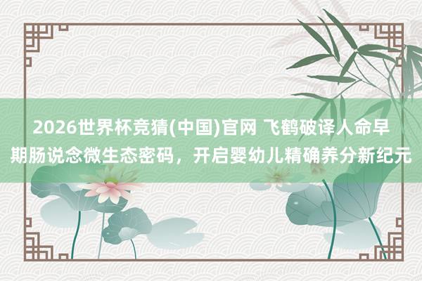 2026世界杯竞猜(中国)官网 飞鹤破译人命早期肠说念微生态密码,开启婴幼儿精确养分新纪元