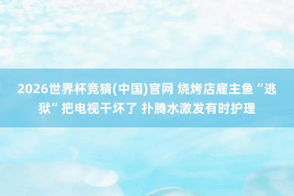 2026世界杯竞猜(中国)官网 烧烤店雇主鱼“逃狱”把电视干坏了 扑腾水激发有时护理