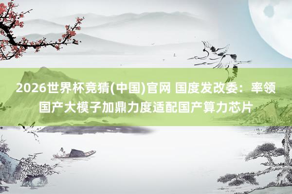 2026世界杯竞猜(中国)官网 国度发改委:率领国产大模子加鼎力度适配国产算力芯片
