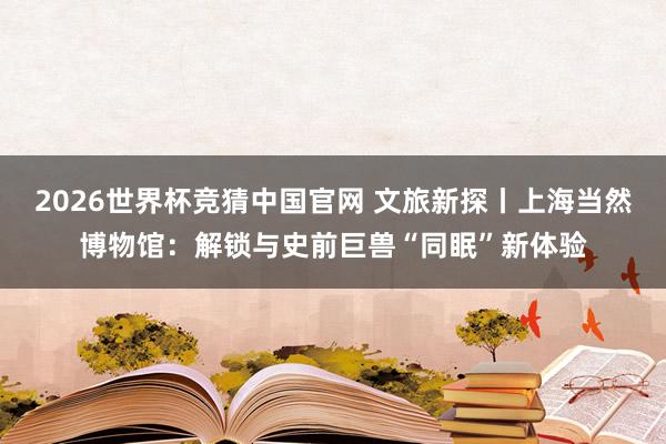 2026世界杯竞猜中国官网 文旅新探丨上海当然博物馆:解锁与史前巨兽“同眠”新体验
