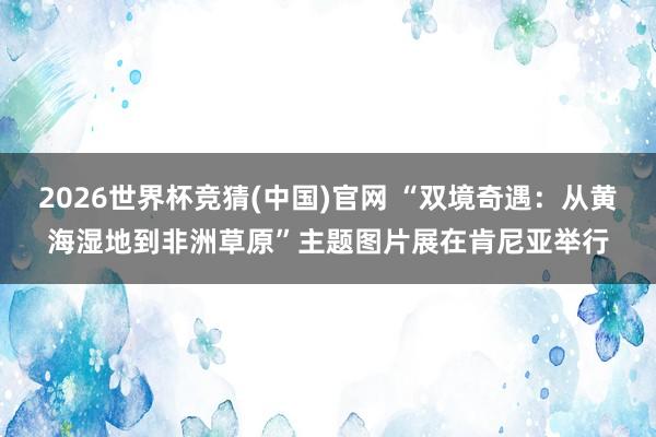 2026世界杯竞猜(中国)官网 “双境奇遇:从黄海湿地到非洲草原”主题图片展在肯尼亚举行