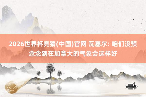 2026世界杯竞猜(中国)官网 瓦塞尔: 咱们没预念念到在加拿大的气象会这样好