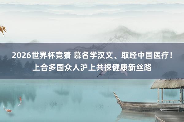 2026世界杯竞猜 慕名学汉文、取经中国医疗!上合多国众人沪上共探健康新丝路