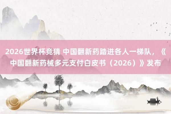 2026世界杯竞猜 中国翻新药踏进各人一梯队,《中国翻新药械多元支付白皮书(2026)》发布