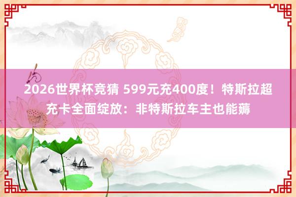 2026世界杯竞猜 599元充400度!特斯拉超充卡全面绽放:非特斯拉车主也能薅