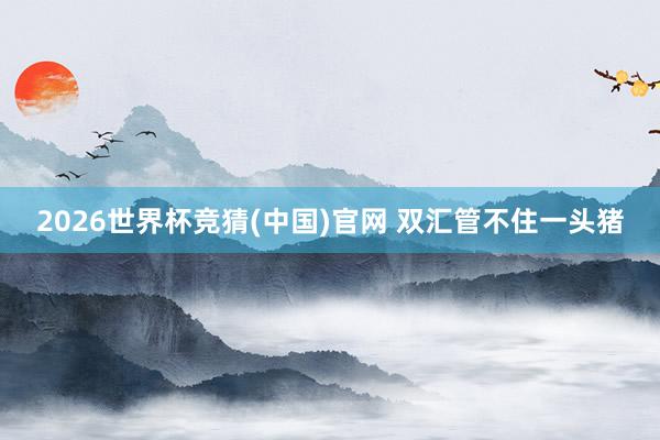 2026世界杯竞猜(中国)官网 双汇管不住一头猪
