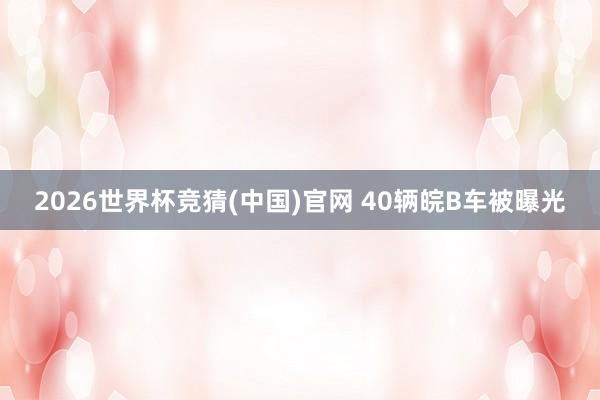 2026世界杯竞猜(中国)官网 40辆皖B车被曝光