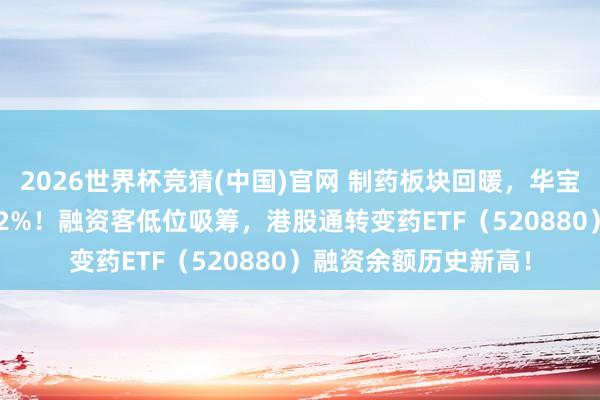 2026世界杯竞猜(中国)官网 制药板块回暖，华宝基金药ETF盘中上探2%！融资客低位吸筹，港股通转变药ETF（520880）融资余额历史新高！