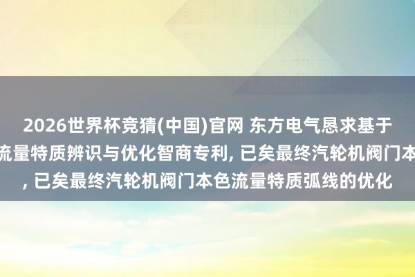 2026世界杯竞猜(中国)官网 东方电气恳求基于GEP算法的汽轮机阀门流量特质辨识与优化智商专利, 已矣最终汽轮机阀门本色流量特质弧线的优化