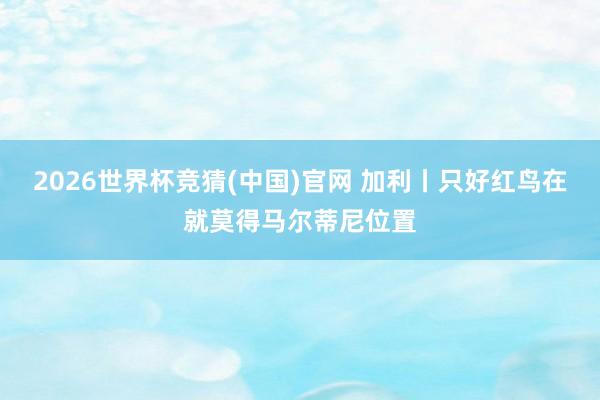 2026世界杯竞猜(中国)官网 加利丨只好红鸟在就莫得马尔蒂尼位置