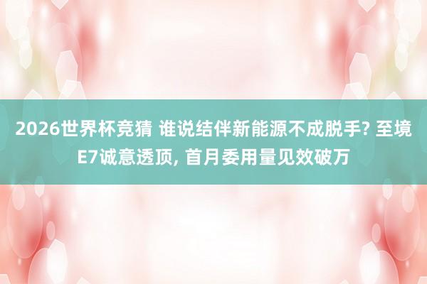 2026世界杯竞猜 谁说结伴新能源不成脱手? 至境E7诚意透顶, 首月委用量见效破万