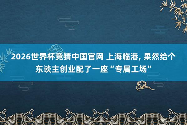 2026世界杯竞猜中国官网 上海临港, 果然给个东谈主创业配了一座“专属工场”