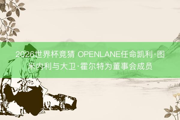 2026世界杯竞猜 OPENLANE任命凯利·图米内利与大卫·霍尔特为董事会成员