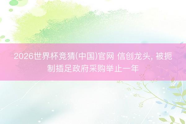 2026世界杯竞猜(中国)官网 信创龙头, 被扼制插足政府采购举止一年