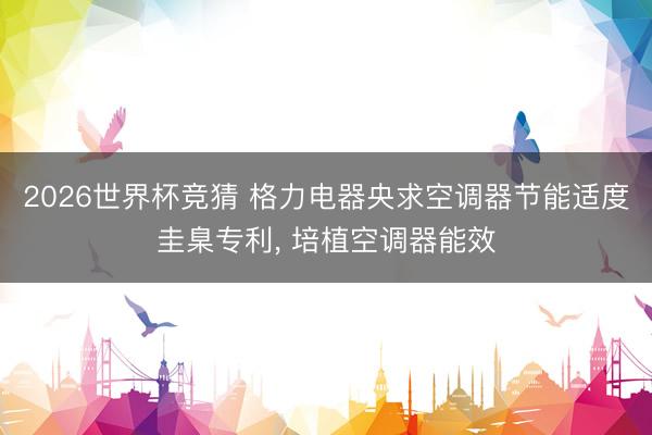 2026世界杯竞猜 格力电器央求空调器节能适度圭臬专利, 培植空调器能效