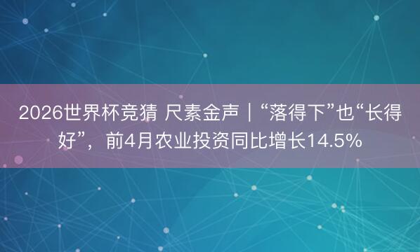 2026世界杯竞猜 尺素金声｜“落得下”也“长得好”，前4月农业投资同比增长14.5%