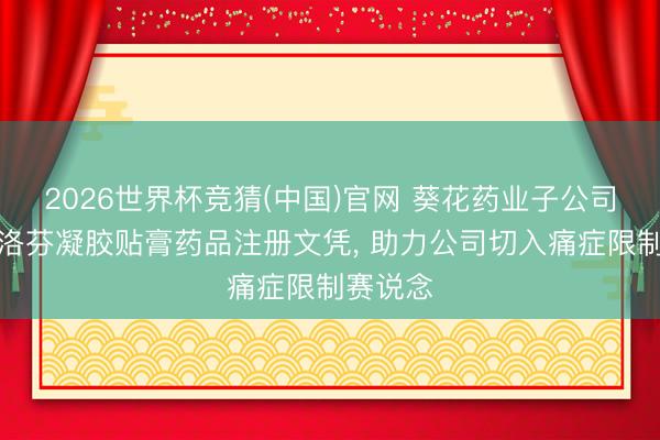 2026世界杯竞猜(中国)官网 葵花药业子公司获氟比洛芬凝胶贴膏药品注册文凭， 助力公司切入痛症限制赛说念