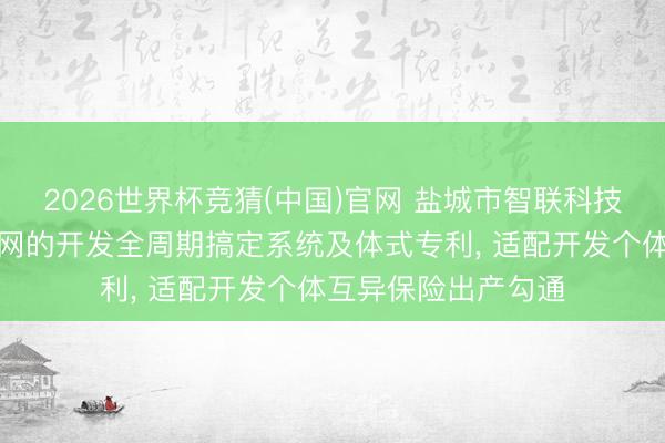 2026世界杯竞猜(中国)官网 盐城市智联科技央求基于工业互联网的开发全周期搞定系统及体式专利, 适配开发个体互异保险出产勾通
